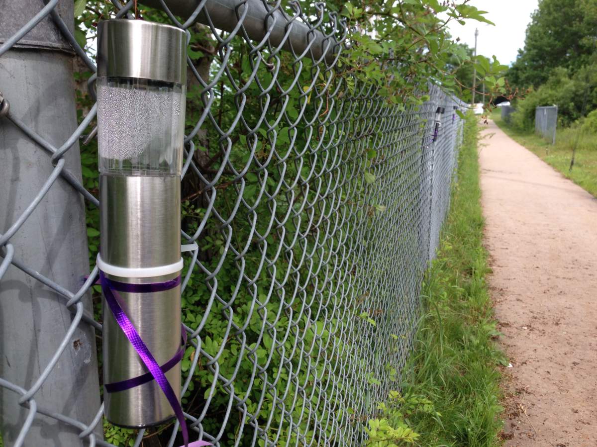 Solar lights with purple ribbon have been placed along the pathway where Chelsie Probert was murdered.