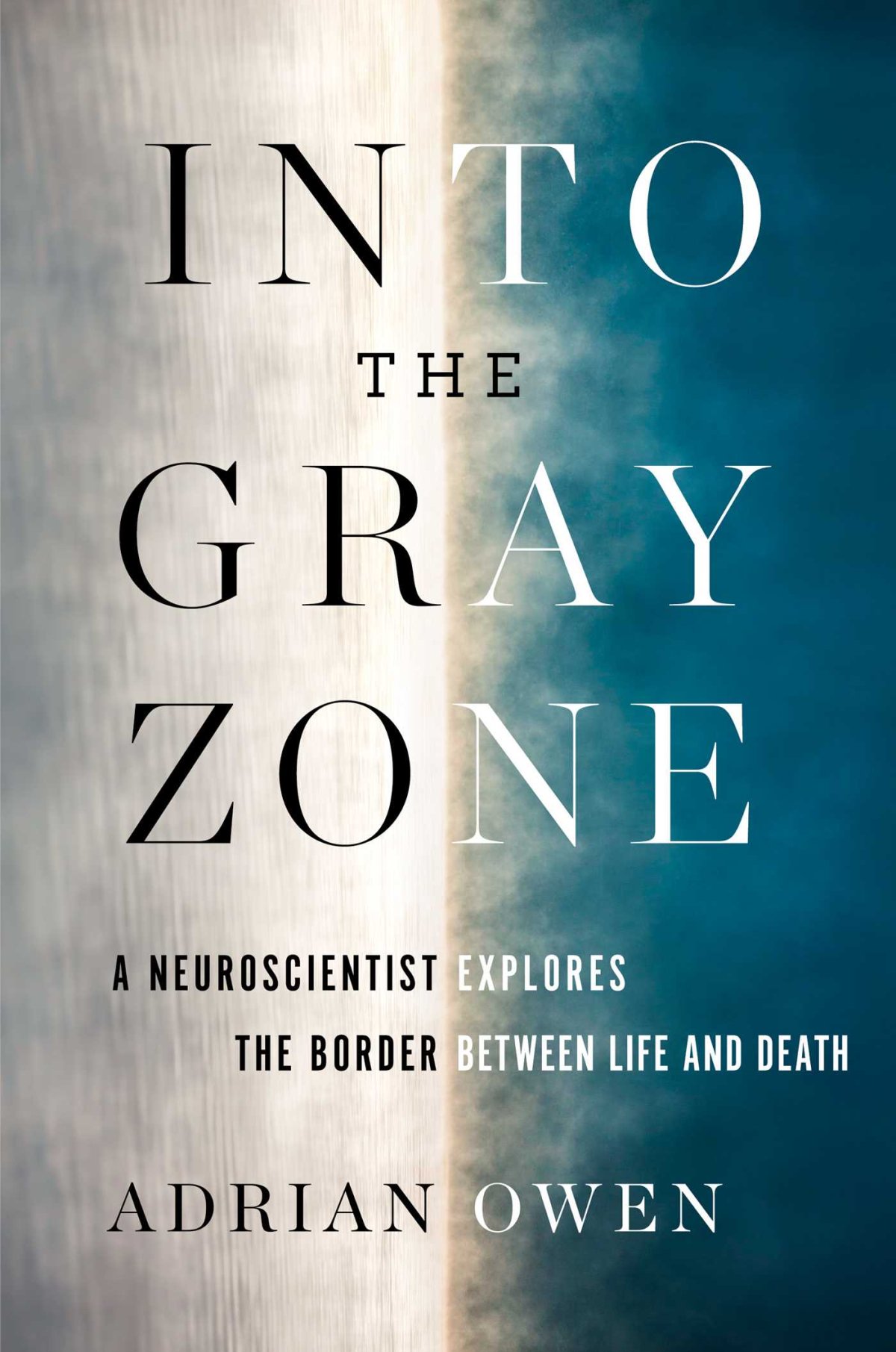 Prof. Adrian Owen's "Into the Gray Zone" documents 20 years of research into how patients once believed to be in vegetative states are actually more alert than once realized.
