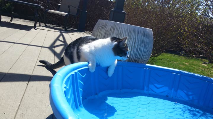 June 23: This Your Saskatchewan photo was taken by Jenine Boser in Regina.