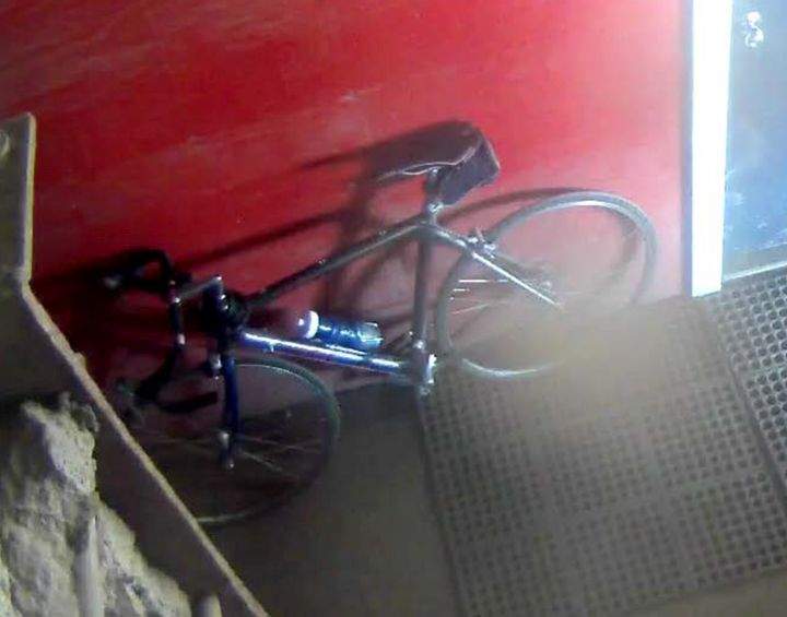 Kelly Flock bicycle
