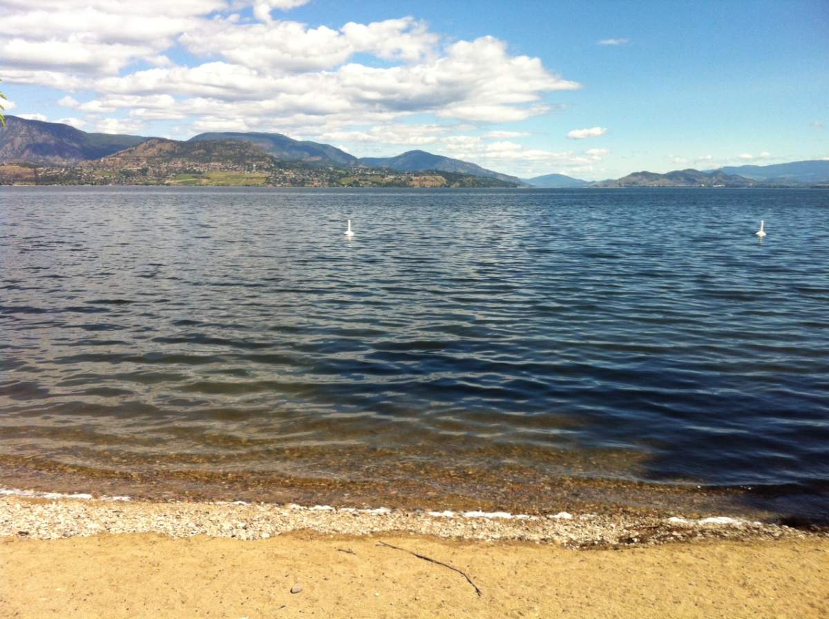 A picture of the beach and water.