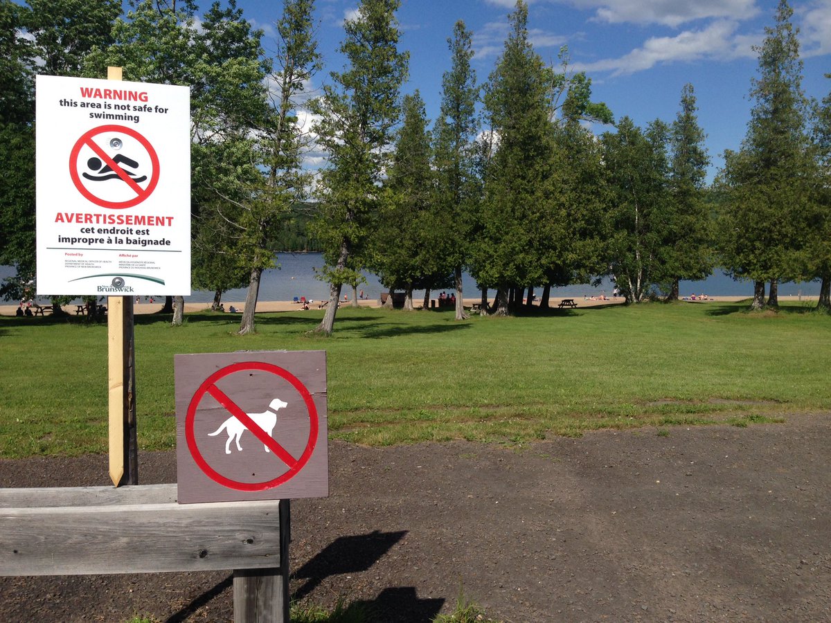 A 'No Swimming advisory' was posted at Mactaquac provincial park beach on Sunday June 25.