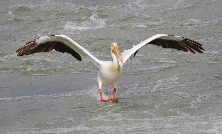 June 16: This Your Saskatchewan photo was taken by Margaret Flack in Saskatoon.