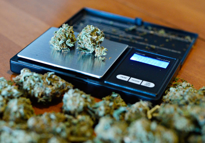 Marijuana on a scale