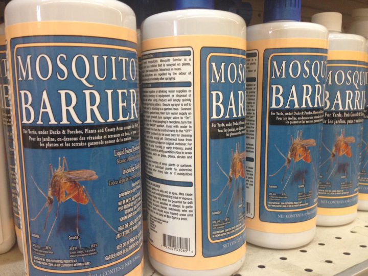 Low mosquito numbers predicted in Saskatoon as tent caterpillar invasion ends - image