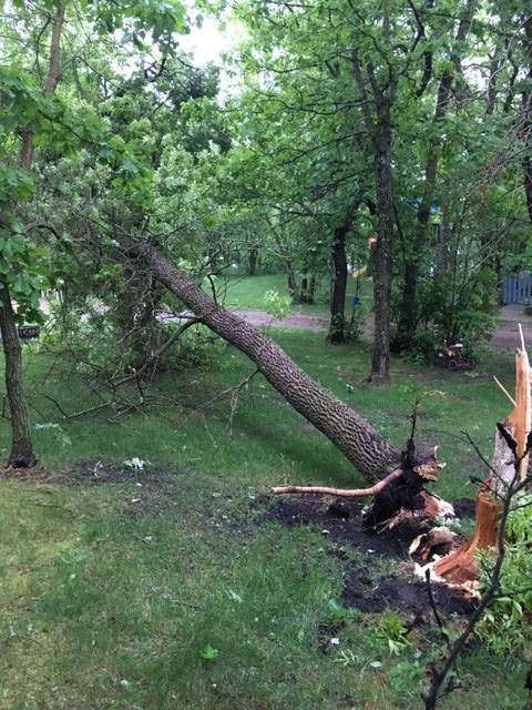 Storm damage in southwestern Manitoba.