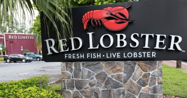 Съобщава се че Red Lobster обмисля да подаде молба за