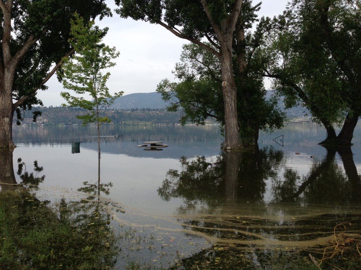 Flood debris being removed from along lakefronts in the Okanagan - image
