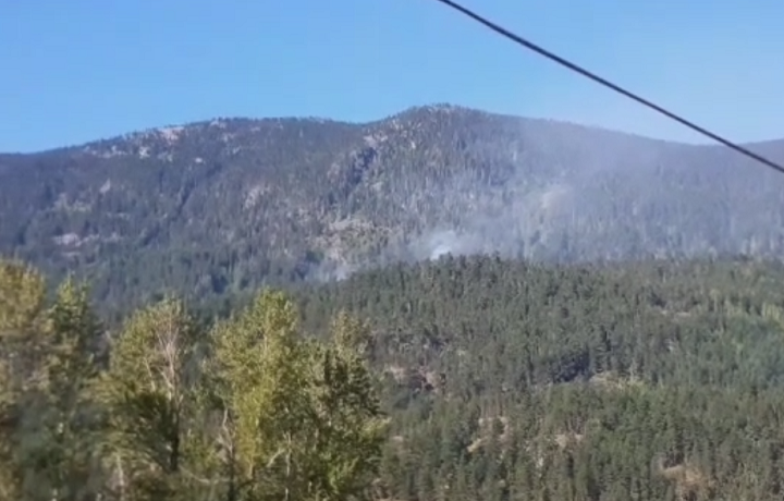 A four-hectare fire is burning north of Pemberton.