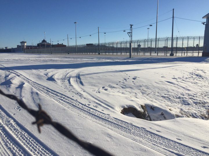 ‘They really do feel like they have no alternative’: Saskatoon youth gang violence - image