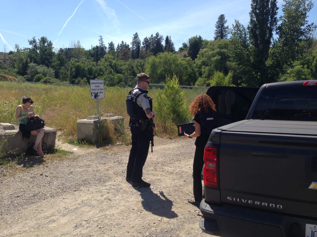 Vernon RCMP investigating shooting at Polson Park - image