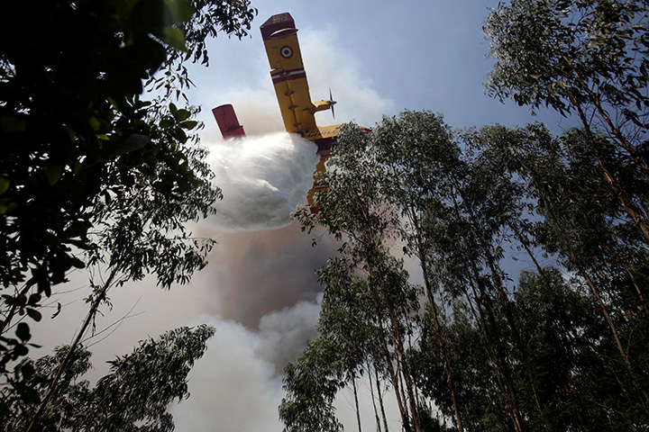 A firefighting plane dumps water on a forest fire in Louriceira, Portugal, June 20, 2017. 
