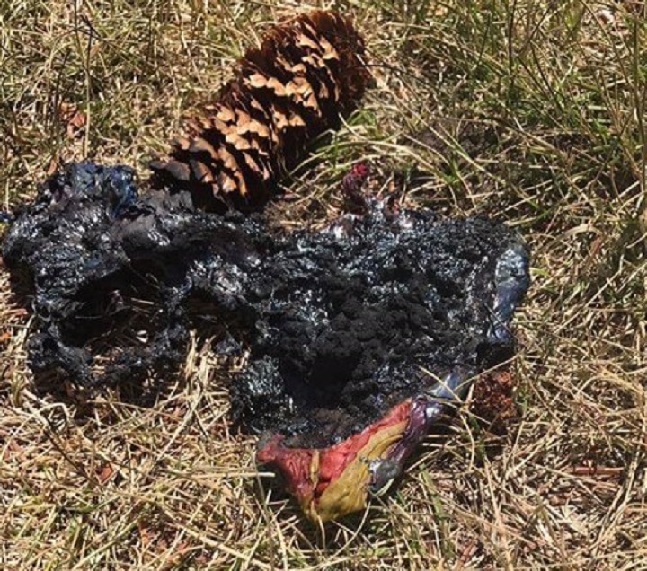 Taber Equality Alliance will hold its third pride flag-raising in less than two weeks after a recent act of vandalism.