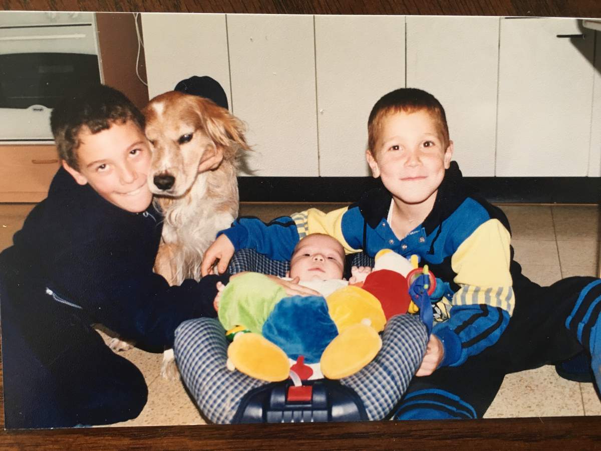 Fredericton man launches pet taxi service - image