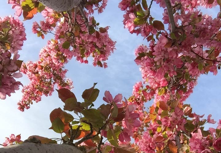 June 10: This Your Saskatchewan photo was taken by Claire in Regina.