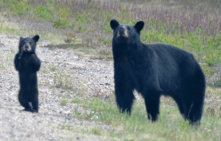 June 19: This Your Saskatchewan photo was taken by Scot Johnson in La Loche.