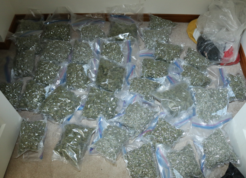Packaged marijuana seized from Townsend home in Norfolk County, Ont.