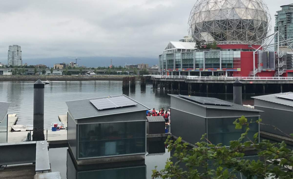 The solar panels atop each boat shed should produce enough energy to power two single family homes.