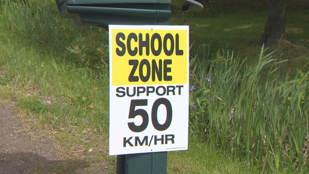 Company hired to look at safety of school zone just outside of Moncton - image