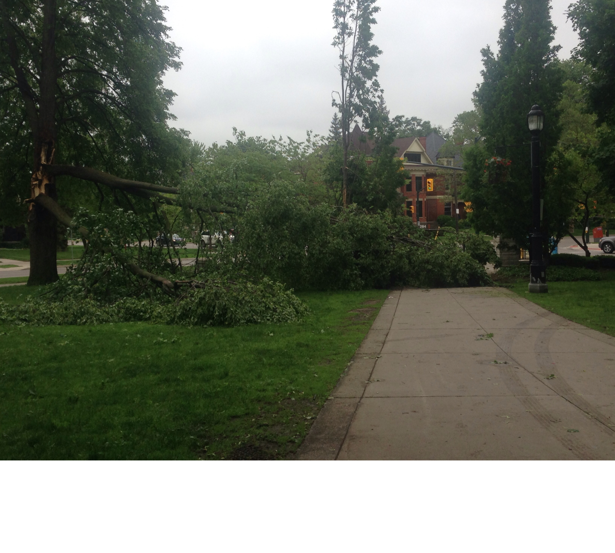 A downed tree limb blocks the northeast entrance to Victoria Park in London on June 5, 2017.
