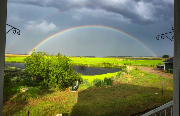 June 18: This Your Saskatchewan photo was taken by Brittany Olsen in Prince Albert.