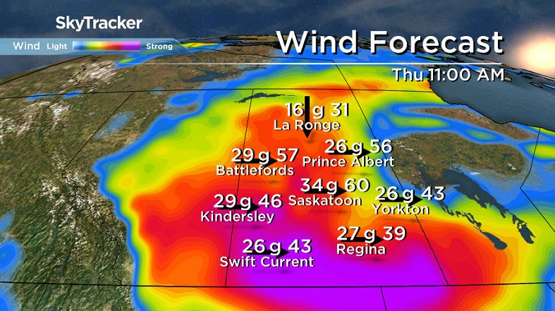 West-northwesterly winds will gust upwards of 60 km/h on Thursday in Saskatoon.