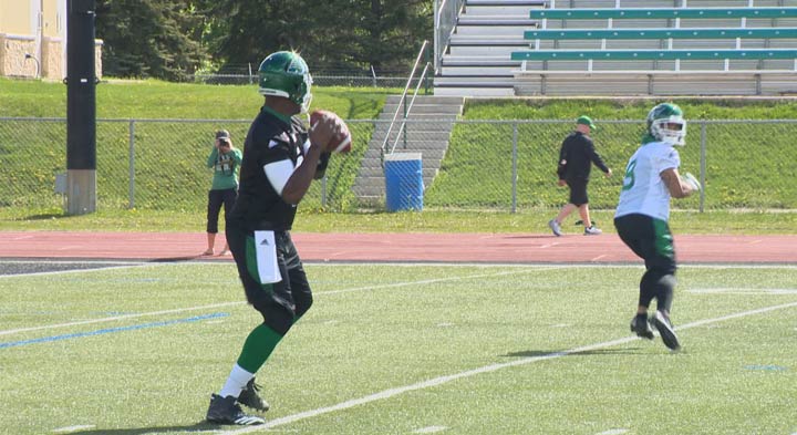 The Saskatchewan Roughriders confirmed Saturday evening that Vince Young was among the 20 players they'd released.