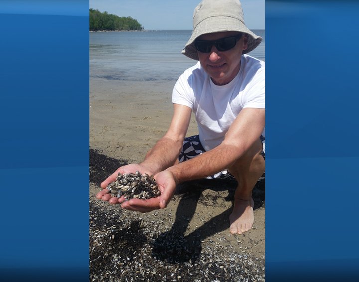 PetSmart Canada stops selling fish, cites federal oversight and