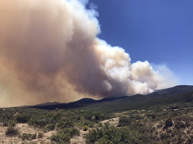 FILE - In this Tuesday, June 27, 2017, file photo, 

Smoke billows from a wildfire near Prescott, Ariz, June 27, 2017.


