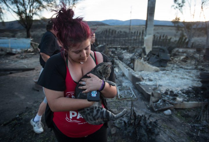 Kelsey Thorne holds her cat that survived a wildfire after finding it on the property of her home that was destroyed on the Ashcroft First Nation, near Ashcroft, B.C., on July 9.