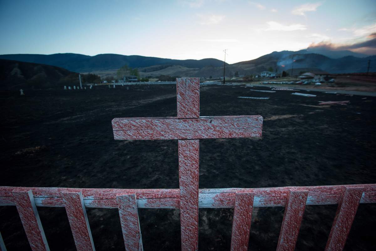 Confidant of Pope Francis condemns some ‘evangelical fundamentalists’ - image