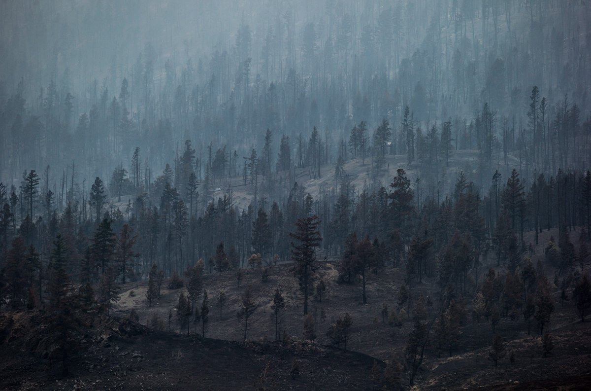 Smoke rises from trees burned by wildfire on a mountain near Ashcroft, B.C., on Monday, July 10, 2017. More than 200 wildfires are burning in the province and an estimated 14,000 people have been evacuated from their homes. THE CANADIAN PRESS/Darryl Dyck.