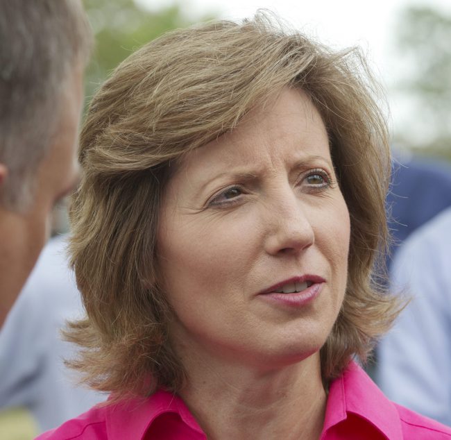 Republican Rep. Vicky Hartzler said she wanted to ensure the military's budget is spent on threats facing the country. 