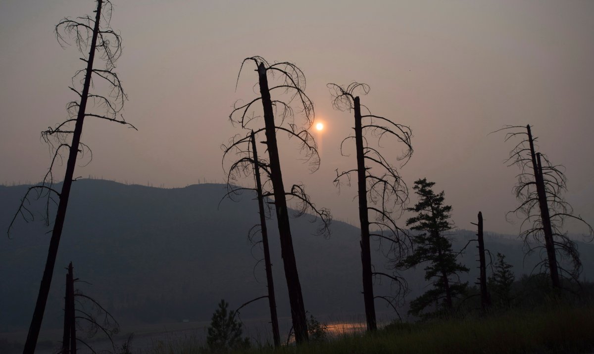 Burnt trees are pictured in front of a smoke-filled sky near Old Fort, B.C., Tuesday, July 11, 2017.