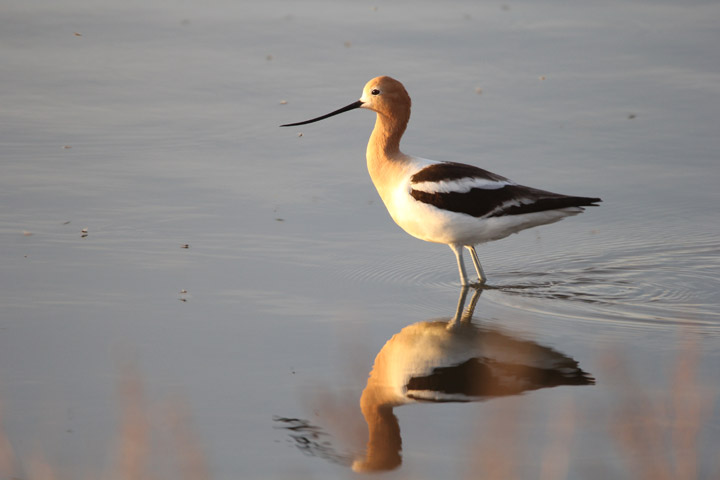 July 7: This Your Saskatchewan photo was taken near Saskatoon by Hope Bilinski.