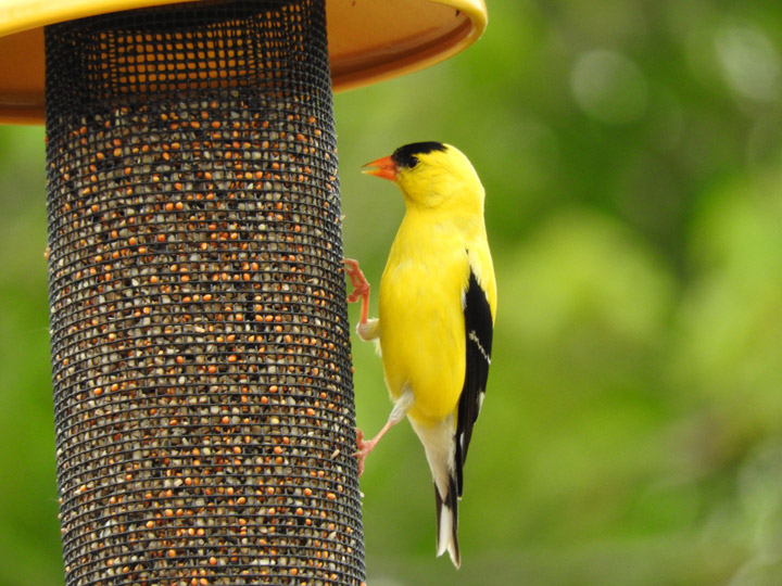 July 10: Linda Phillips took this Your Saskatchewan photo at Last Mountain Lake.