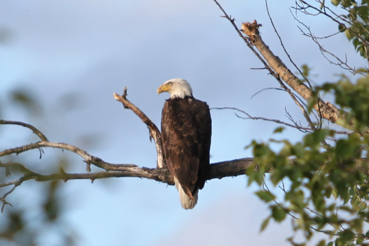 July 12: This Your Saskatchewan photo was taken at Cumberland House by Jennifer Stewart-McGillivary.