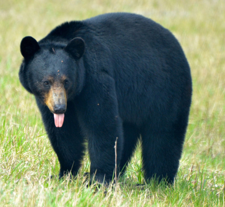 July 13: Scot Johnson took this Your Saskatchewan photo near Île-à-la-Crosse.
