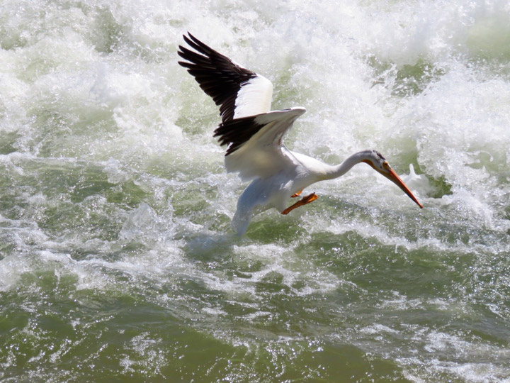 July 14: This Your Saskatchewan photo was taken by Heather Anderson in Saskatoon.