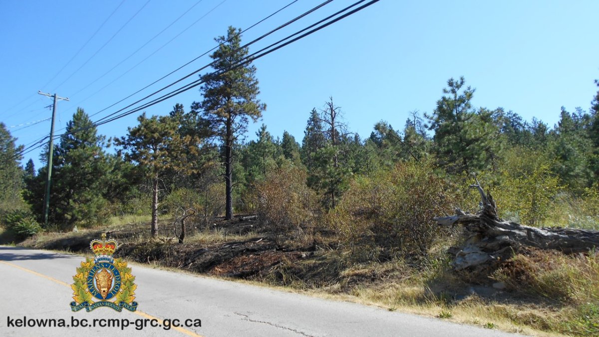Ditch fire near Lake Country investigated by RCMP - image