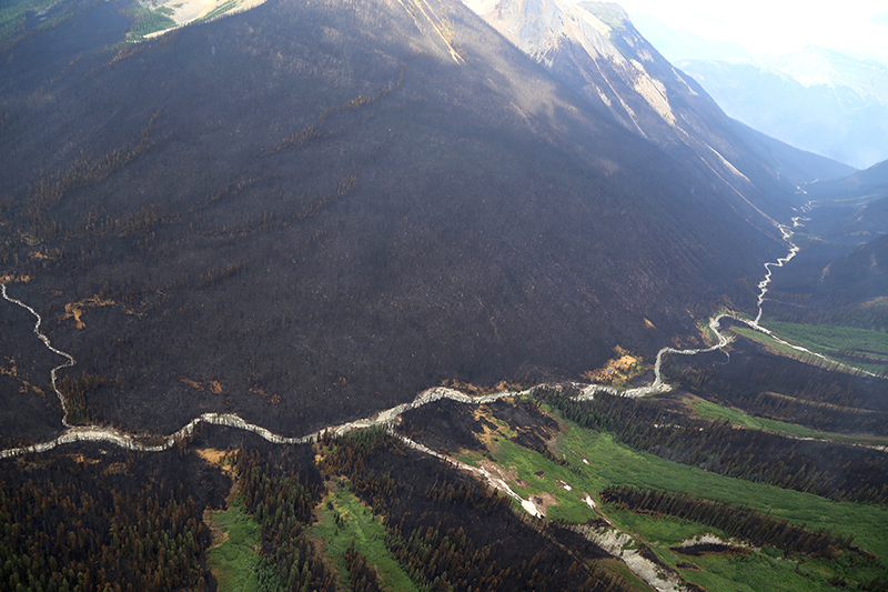 Aerial view of Verdant Creek wildfire. 