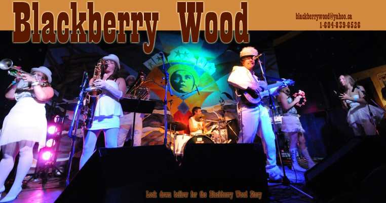 Wild and Crazy Dance Party - image