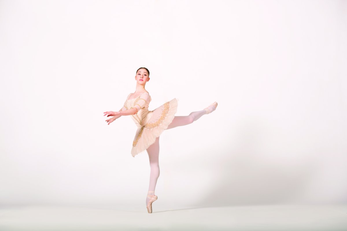 Royal Winnipeg Ballet Professional Division’s 2017/18 Audition Tour in Edmonton - image