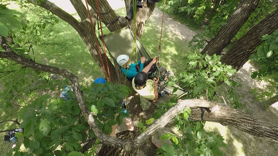 Global's Shannon Cuciz interviews tree climbing facilitator Winnipeggers another way to get out of the house.