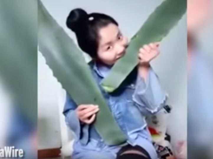 A 26-year-old blogger in China accidentally poisoned herself when she took a bite out of a leaf from the toxic agave americana plant. 