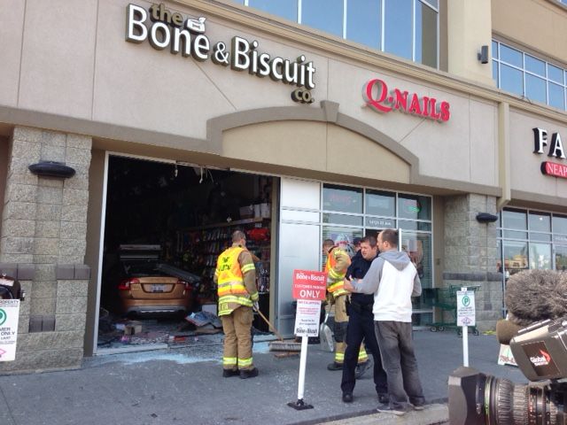 A car crashed into a Bone and Biscuit pet food store at 14119 23 Ave. in southwest Edmonton’s Magrath neighbourhood. July 14, 2017.