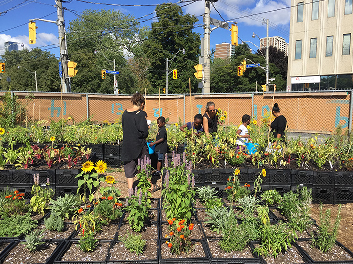 Rachel Kimel and Deena DelZotto run the Bowery Project, an organization that takes vacant lots in downtown Toronto and transforms the properties into mobile urban farms.