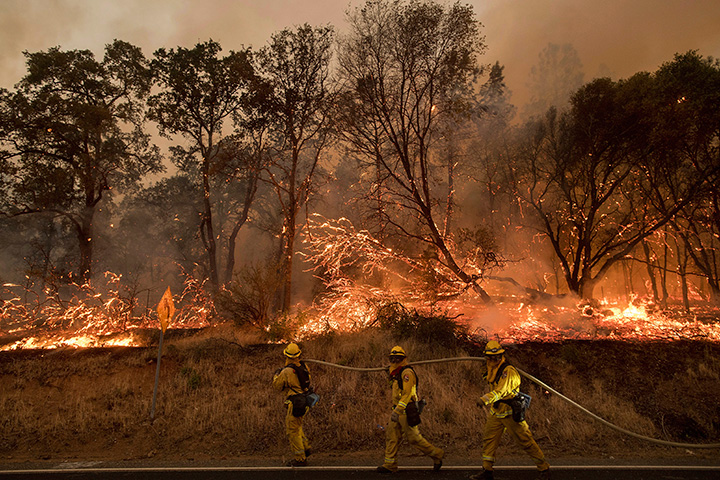 Firefighters battle a wildfire as it threatens to jump a street near Oroville, Calif., on Saturday, July 8, 2017.
