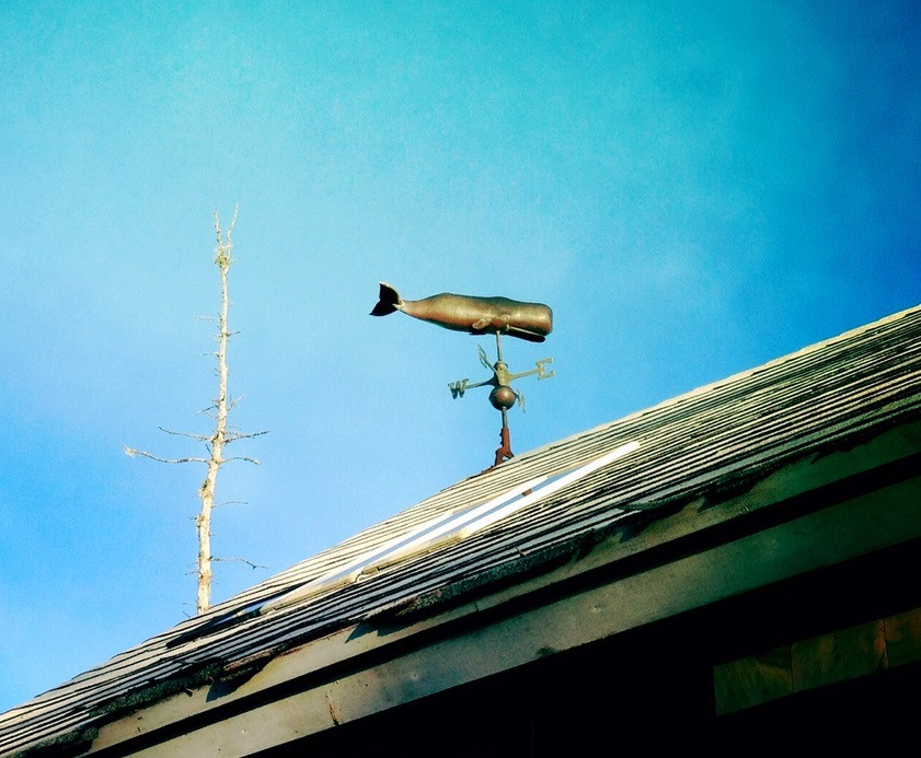 RCMP are asking for help in locating a stolen brass weather vane that holds sentimental and historical value. In the shape of a whale, it was once owned by Captain Angus Walter, who skippered the Bluenose.