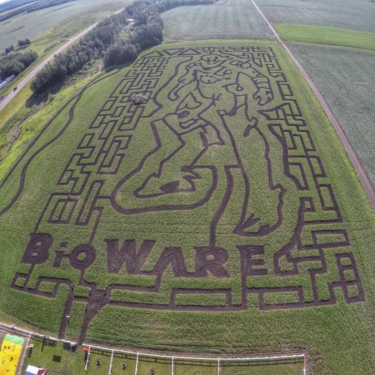 Corn Maze Designs